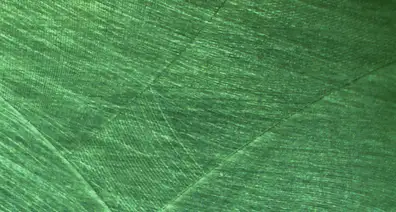 F30 Visual 复制印模